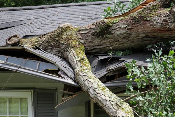 Cost of Storm Remediation in Richmond