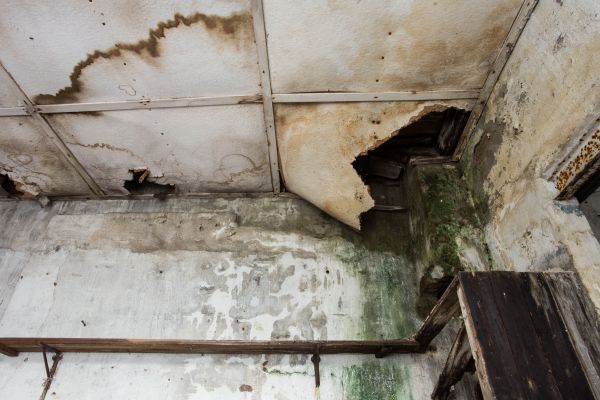 Water Damage Service in Richmond
