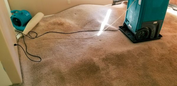 Flood Damage Cleanup in Richmond