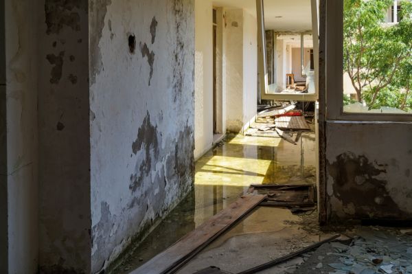 Water Removal Service in Richmond