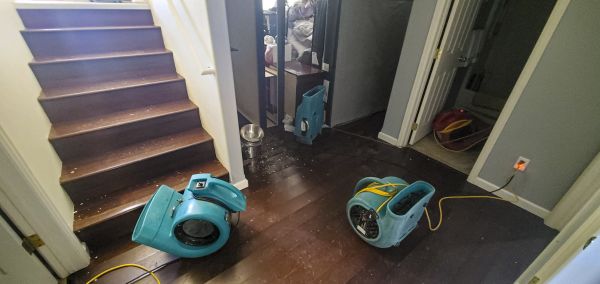 Water Damage Remediation in Richmond