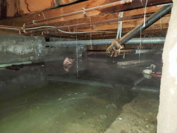 Cost of Crawl Space Drying in Richmond