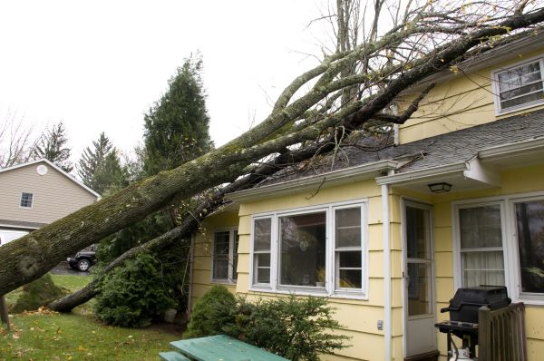 Hurricane Damage Repair in Richmond