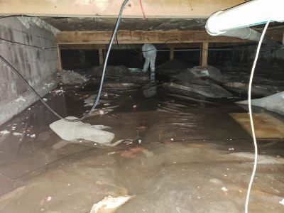 Water Damage Professionals